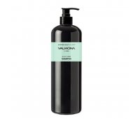 Шампунь для волос Аюрведа EVAS Valmona Ayurvedic Scalp Solution Black Cumin Shampoo, 480 мл