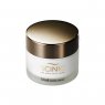 Крем для лица с муцином улитки Scinic Snail Matrix Cream, 50 мл